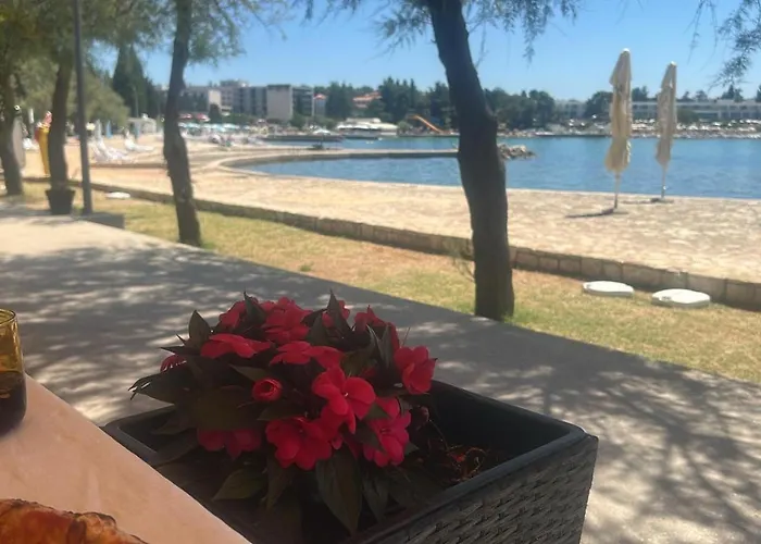 Apartment Perla 55 Poreč